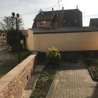 Ferme Typique Alsacienne - Truchtersheim - 5