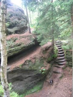 Apartment Šedivý - 5