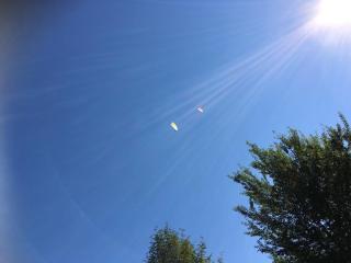 Gästehaus Wildauer - 6