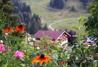 Apartmenthaus Kristall - Wagrain - 8