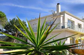 Katoi Apartment 2 Agios Georgios Pagoi - 5