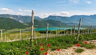 Hotel Weingut Klosterhof - Caldaro - 2