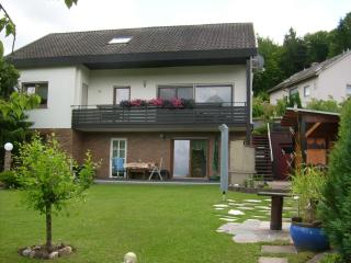 Ferienwohnung Heidelsteinblick - Schönau an der Brend - 8