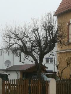 Auestraße 94A - Glauchau - 5