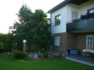 Ferienwohnung Heidelsteinblick - Schönau an der Brend - 7