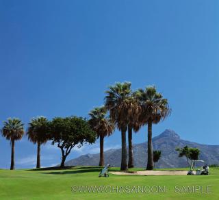 Fantastic Apartment Next To Guadalmina Golf Course In Marbella - 1