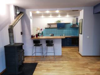 Park apartment - Kaunas - 4