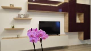 Eme Apartments 2 - Brasov - 5