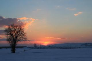 Villa Del Rimedio - 1