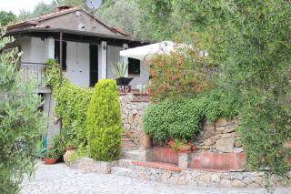 Fattoria Cristina - Mono - 8
