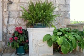 Villa Violić - Zaton - 5