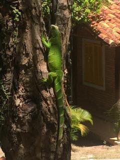 Refúgio do Corsário-Imbassai-Ba - 4