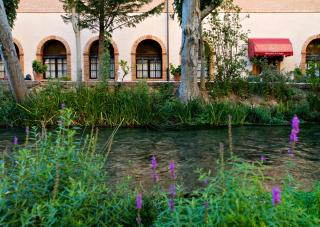 Hotel Balneario de La Virgen - Jaraba - 3