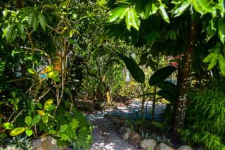 Cabinas carol - Pavones - 5