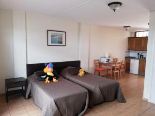 Studio in Parque Cattleya, Playa de las Americas - Playa de las Americas - 7