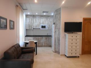 Apartamentos Edificio Aguilas - Aínsa - 1