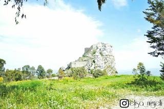 Viola Bed and Breakfast - Mussomeli - 9