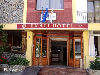 Ekali Hotel - Kakopetria - 8