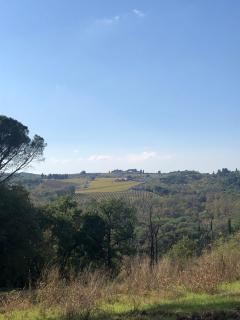 "Alle Montanine" Sughera - Firenze - 2