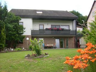 Ferienwohnung Heidelsteinblick - Schönau an der Brend - 9
