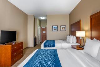 Comfort Inn South Chesterfield - Colonial Heights - Colonial Heights - 1