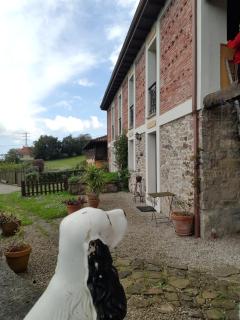 Fancornio Rural - Zancornio - 5