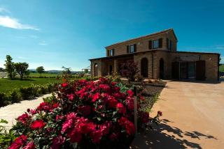 B&B Olmo - Saludecio - 3