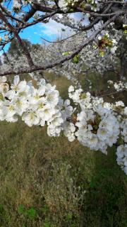 Apartamentos Alejandra - 8