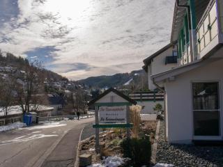 Holiday flat in Schwalefeld near the ski area - Willingen - 3