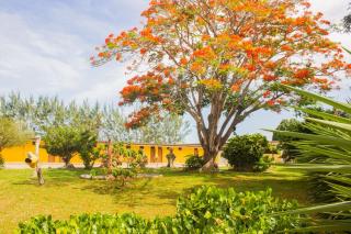 Hotel Parque do Sol - Parnamirim - 8