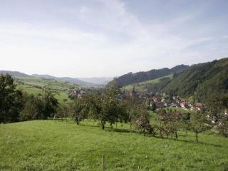 Pension Waldfrieden - Oberharmersbach - 1