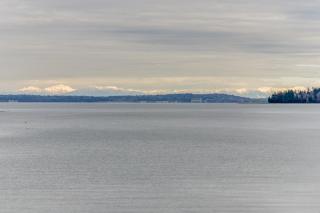 Bay Street Oasis - Port Orchard - 8