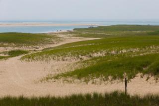 Sea Glen Cottage - Oak Bluffs - 5