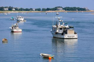 Sea Glen Cottage - Oak Bluffs - 3