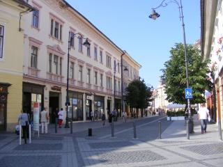 Garsoniera Central Sibiu - Sibiu - 7