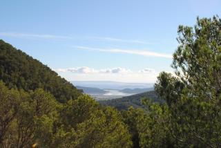 can vinyeta - Sant Josep de sa Talaia - 9