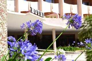 Hotel Los Robles - 9