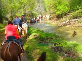 MONTE PIEDRA - Arroyo Frio - 8