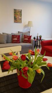 George Apartment Sinaia - 7