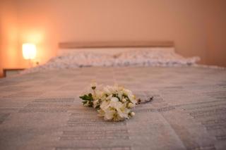 Vadszőlő Apartman - Balatonmáriafürdő - 6