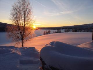 Skatauddens Lantgård - Älvsbyn - 8