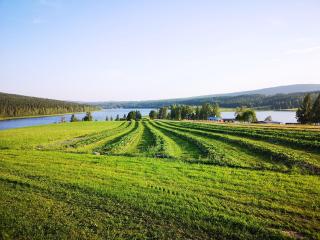 Skatauddens Lantgård - Älvsbyn - 4