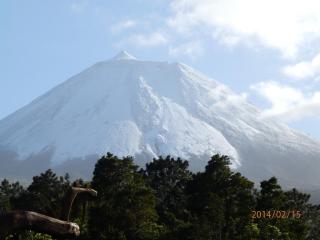Casas Alto da Bonança - São Roque do Pico - 4