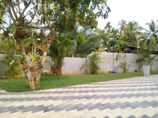 Orchid Dream - Bentota - 4