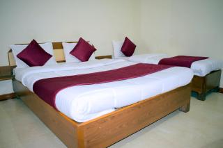 Manas Homestay by Sky Stays - Saputara - 1