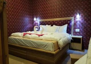 Wooden Nest Cottage Hunder, Nubra Valley - Nubra - 8