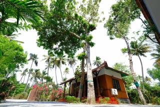 Marari Arapakal Beach Villa - Mararikulam - 8