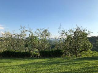 Podere Villabassa - Montespertoli - 9