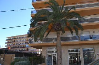 Salou apartamento cerca de playa y zona turística - Salou - 2