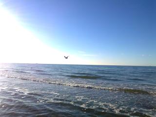 Beautiful Holiday Home in Zierow near Sea - Zierow - 3